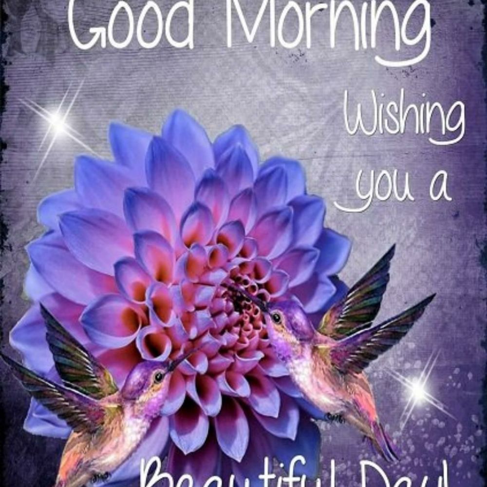 Meet your Posher, Joyann